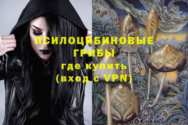 дурь Осинники