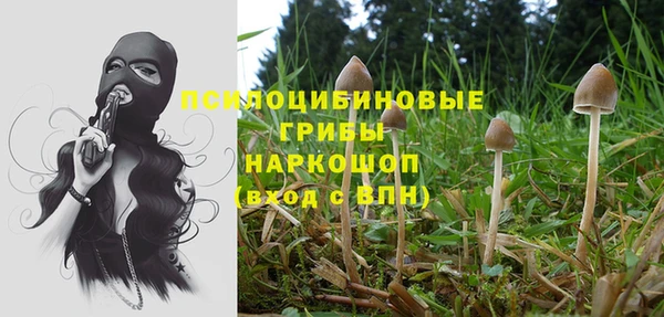 дживик Алексеевка