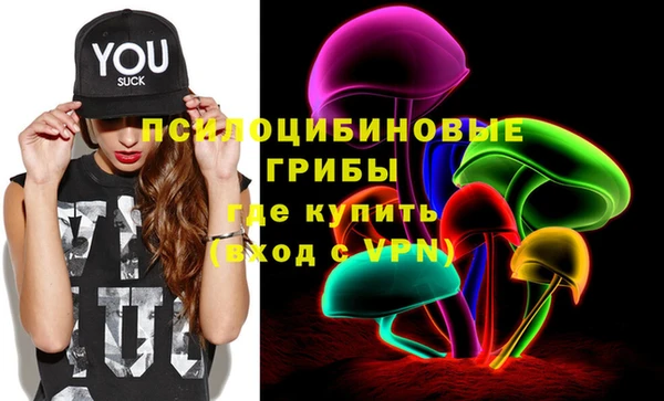 дживик Алексеевка