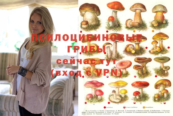 МДПВ Осташков